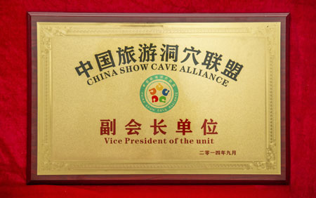 资质声誉_抖圈水洞风物区